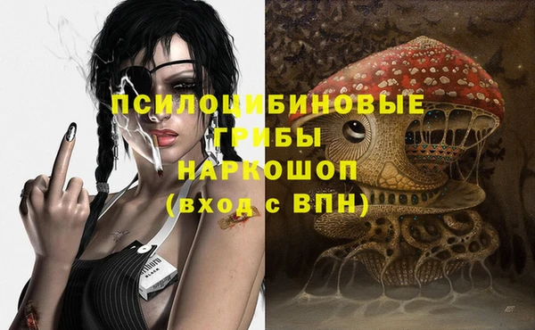 спиды Алзамай