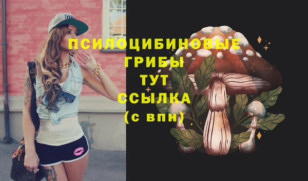 МДПВ Алексин