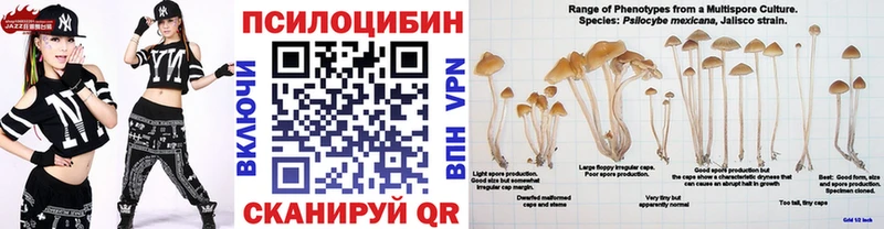 Галлюциногенные грибы прущие грибы  Кемь 